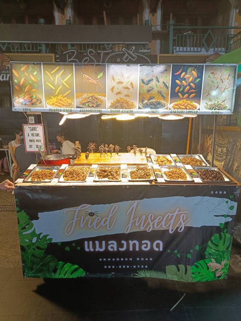 Fried insects street food stall on Khaosan Road, Bangkok